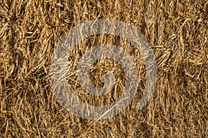 Close-up of Straw from a hay bale in a farm