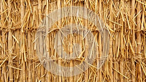 Close-up of a Straw Thatch Wall, Natural Texture, Rustic Background, Straw, Thatch, Wall