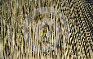 straw from thatched roof