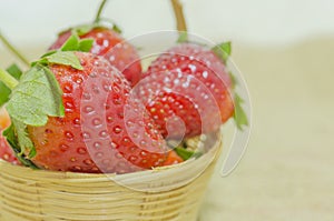 Close up Strawberry