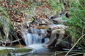 Close-up of a stream in the mountain slope