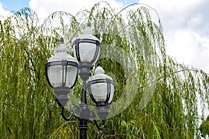 Close-up of street lamp in traditional Chinese garden