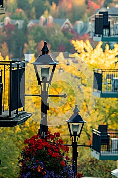 close-up of streetlamps against a blurred autumn background