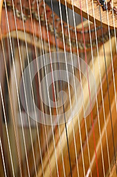 close up of the strings on a harp