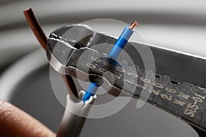 Close-up of a stripped ground wire by a wire stripper
