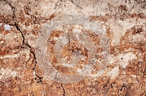 Close-up of the structure of the soil layer in the section.