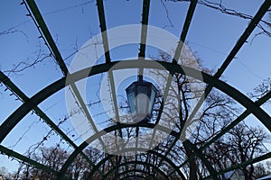Close up of structured wooden green arch with old style lantern in the middle against blue clear sky. Trees with no