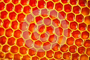 Close up studio shot of authentic organic honey in honeycomb - healthy eating concept