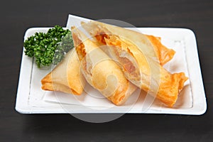 Close up studio shot of cheese in spring roll