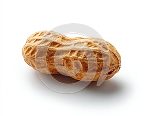 Single Peanut in Shell Isolated on White Background Studio Lighting