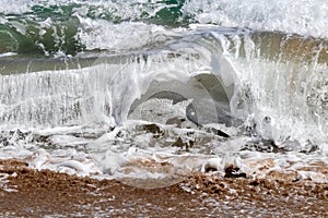 Close up study of waves and wave actions at Pouawa Beach, near Gisborne, New Zealand