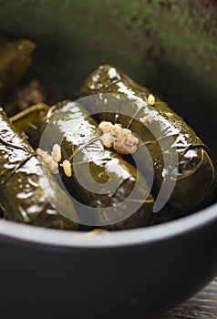 Close up of stuffed vine leaves - a miidle eastern recipe