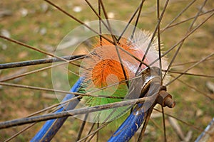 Close up style of wheel spokes on blue background. Texture.Selective focus