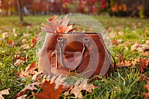 Close up of stylish brown leater handbag in autumn park with red leaves on grass. Female accessories. Fashion photo