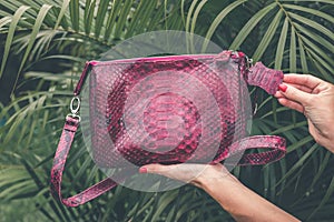 Close up of stylish snakeskin luxury python handbag on a tropical background.