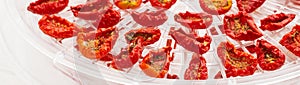 Close-up sun-dried tomatoes in a plastic dehydrator tray banner panoramic