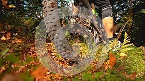 CLOSE UP: Sun shines on a part of forest trail as cyclist speeds past the camera