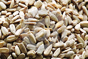 Close up of sunflower seeds