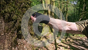 Close-up, super slow motion. Male boxer training in the forest, boxing the trunk of a large tree
