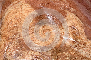 Close-up of the surface of a marinated piece of meat as a background or texture.