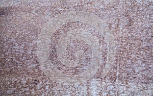 A close-up of the surface of old cut of tree,texture of an old t