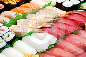 Close up of Sushi arranged.