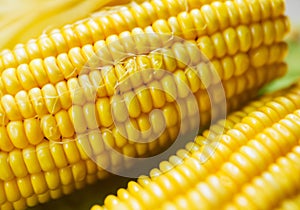 Close up Sweet boiled corn