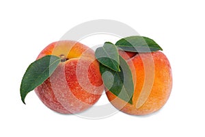 Close-up of sweet bright peaches, on a white background. Two ripe, nutritious, beautiful fruits. A healthful breakfast.