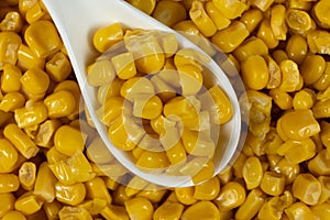 Close-Up Of Sweet Canned Corn Kernels In Spoon.