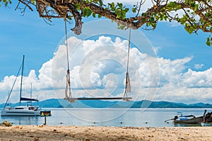 Close-up of a swing on a tree in the tropics against the sea