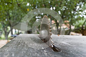 Close up of table circular saw blade in the garden with trees in background. Woodwork, Work hazards at home. Detail view