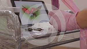 Close-up of a tablet with a picture of a ladybug on a table in a tattoo parlor