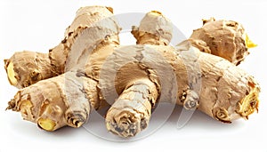 Close Up of a Tan Ginger Root on a White Background