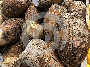 Close up of taro or gabi rootcrops