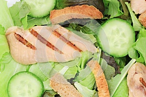 Close up of tasty and fresh ceaser salad