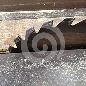 Close-up of teeth on blade on old table saw wood working machine