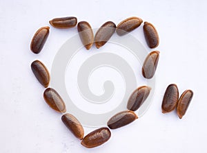 Close up of Tendu or Diospyros melanoxylon or Persimmon fruit seeds.