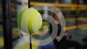 Close-up of a tennis ball tied to a black rope in a boxing gym.