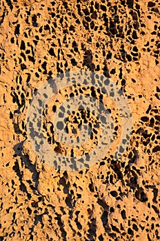Close up of Termite mound