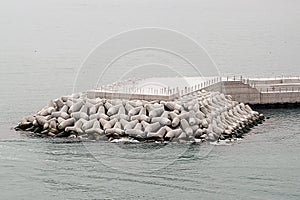 Close-up tetrapods as the  seawalls and breakwaters