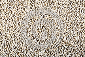 Close up texture of amaranth