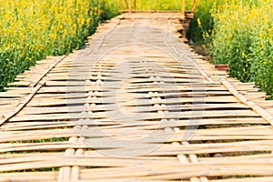 Texture of Bamboo weave walk way bridge with Yellow Crotalaria juncea flowers Sunn hemp field in sunny day