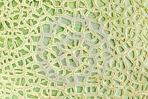 Close up texture of cantaloupe melon peel