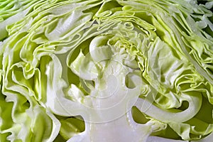 Close up of texture cut green cabbage