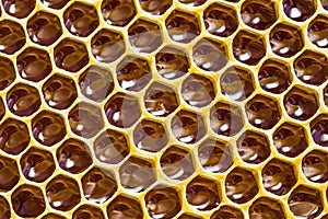 Close-up texture of honeycomb with honey