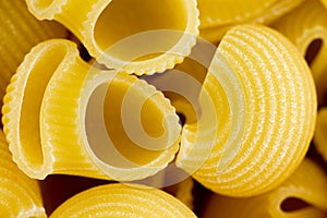 Close up of the texture of lumaca rigata pasta
