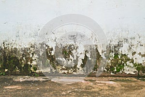 Close up of texture mildewed wall