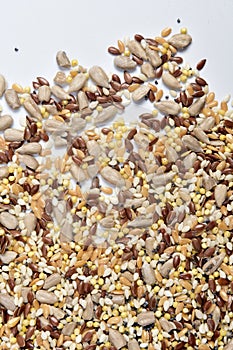 Close up of a texture multigrain