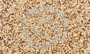 Close up of a texture multigrain