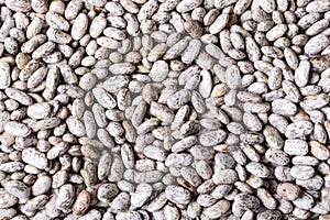 Close up texture of Peruvian bean